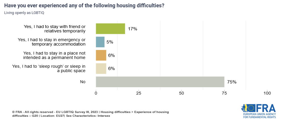 Bar chart showing the proportion of intersex respondents who faced housing difficulties by type of difficulty. 17% had to stay with friends or relatives temprarily, 6% had to 'sleep rough' or sleep in a public space.