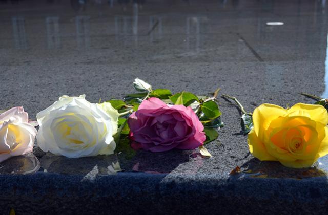 Roses on wet marble as remembrance
